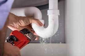 Professional Plumbung Services in Northeast Ithaca, NY